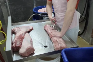 person injecting ham