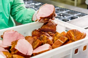 person holding ham chunk